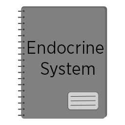 Endocrine System